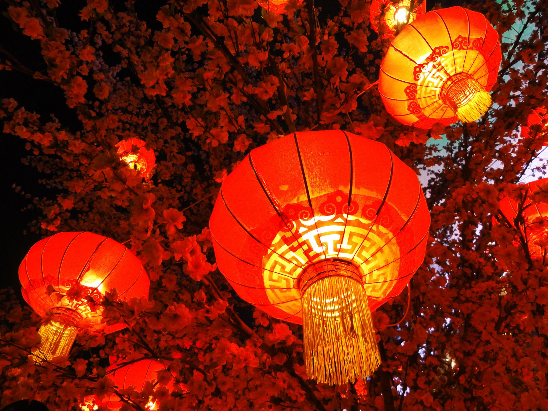 秦開電氣設(shè)備恭祝全國人民新年快樂！